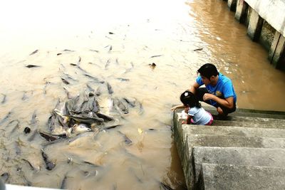 High angle view of father and daughter looking at fish in lake