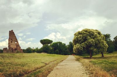 Trees on field against sky