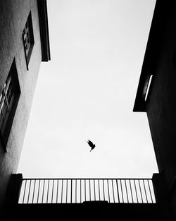 Low angle view of seagull flying against clear sky