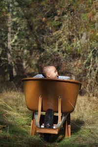 Cute girl sitting in wheelbarrow at field