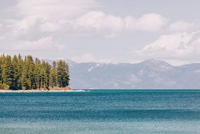 Peaceful calm landscape with fir trees and snowy mountains on the background, lake tahoe