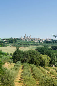 Scenic view of landscape against clear sky