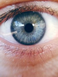 Close-up portrait of human eye