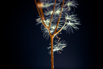 Close-up of illuminated lighting equipment against black background