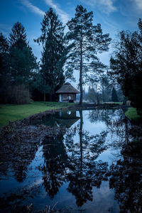 Reflection of trees in lake against sky