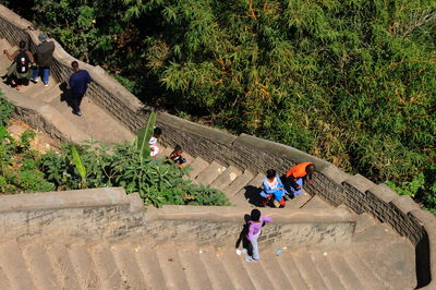 High angle view of people walking on plants