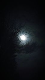 Low angle view of moon in the dark