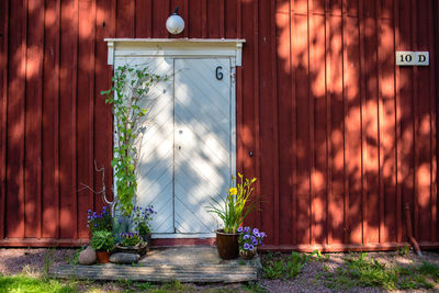 Potted plants against wall