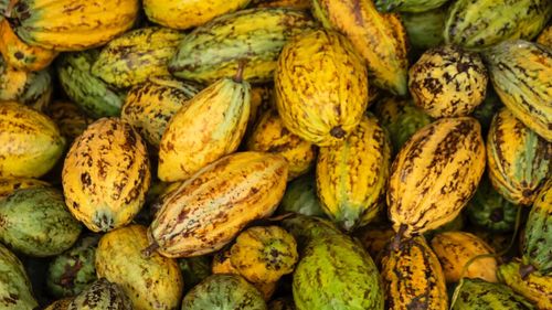 Full frame shot of fruits for sale at market stall