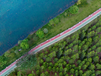 High angle view of highway amidst trees