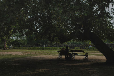 View of horse cart on field