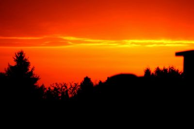 Silhouette of trees at sunset