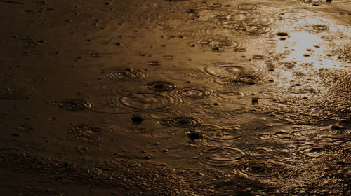 High angle view of rippled water on street at night during rainy season