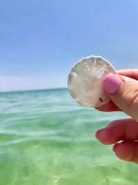 Cropped image of hand holding seashell against sea