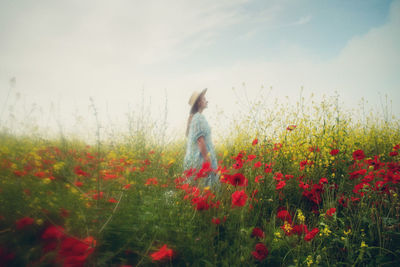Rear view of woman standing by poppy field against sky
