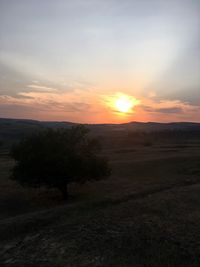 Scenic view of field against sky during sunset