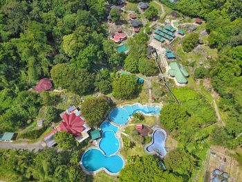 High angle view of plants and trees in park