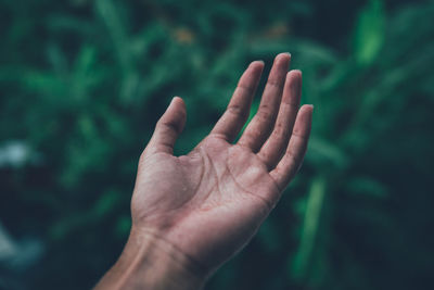 Cropped wet hand of person at park during rainy season