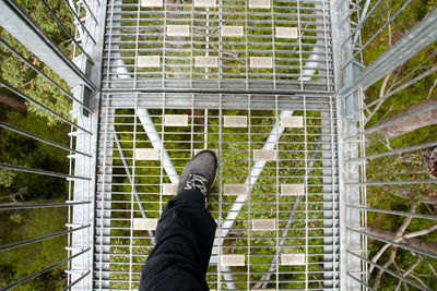 Low section of man walking on footbridge over plants