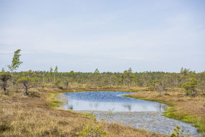 Scenic view of field against sky