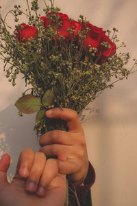 Close-up of hand holding red flowering plant