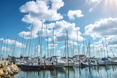 Sailboats moored in harbor