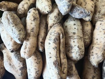 Full frame shot of carrots for sale at market stall