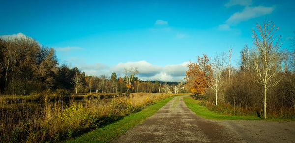 Empty road along plants and trees against sky