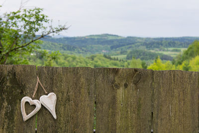 Close-up of wooden hanging tree against sky