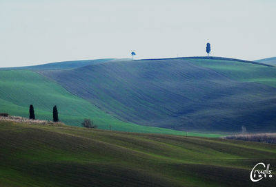 Scenic view of field against clear sky