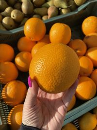 Close-up of hand holding fruits