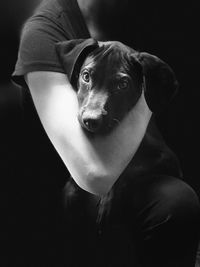 Midsection of woman holding dog against black background