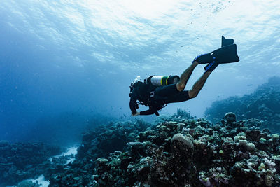 Scuba diver exploring the great barrier reef in australia