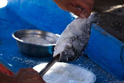 Midsection of person preparing fish