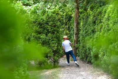 Kid baby toddler playing in tree labyrinth park sunny day. belarus, minsk,2023