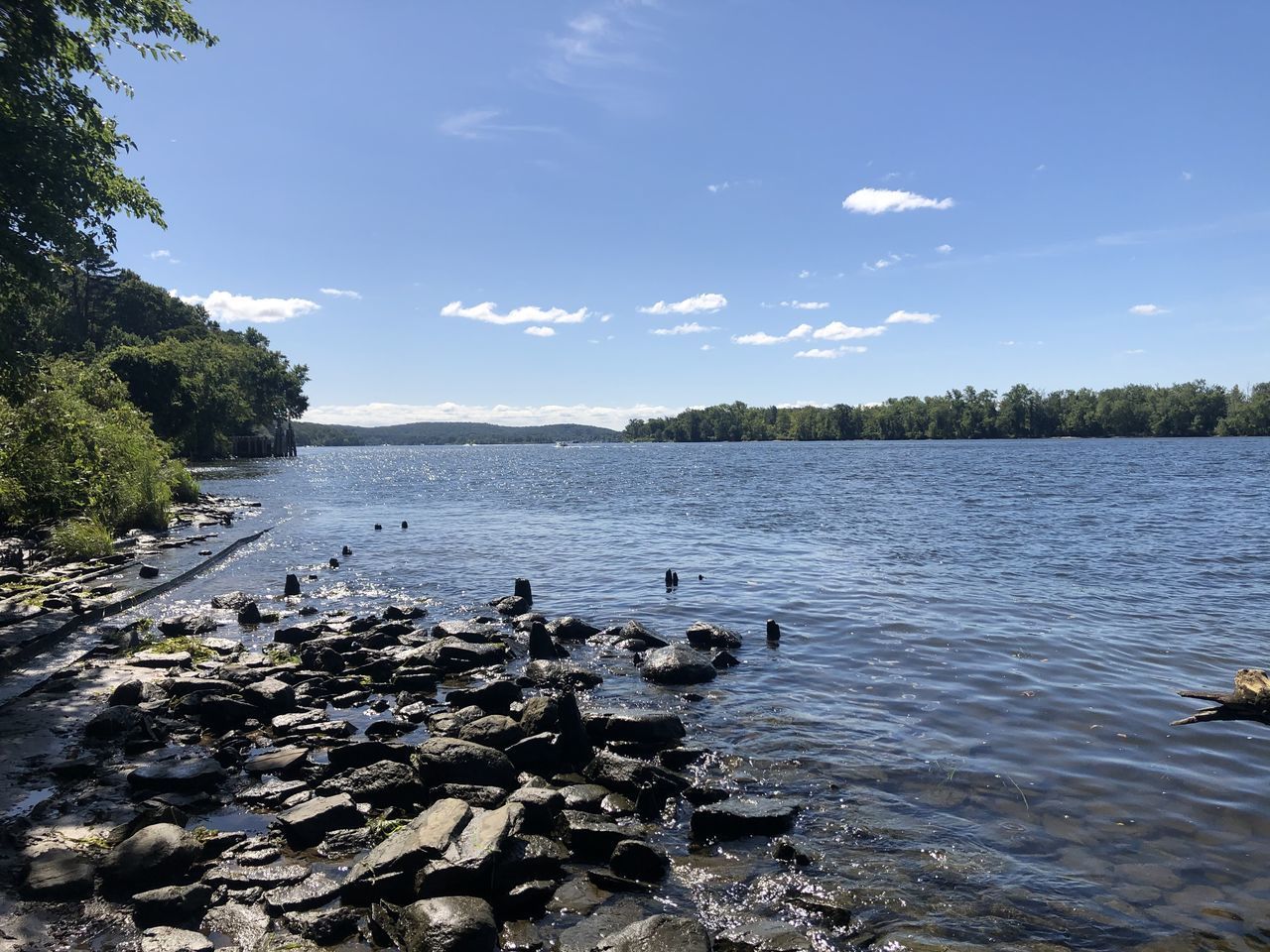 SCENIC VIEW OF LAKE AGAINST SKY AT FOREST