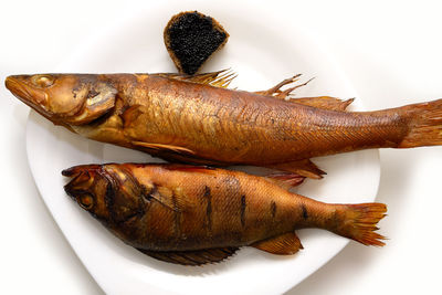 High angle view of crab on plate
