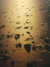 High angle view of footprints on sand