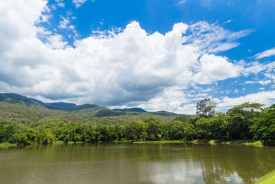 Scenic view of lake by trees against sky