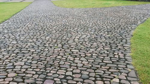 Footpath leading towards trees