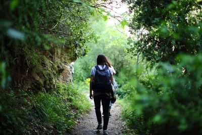 Rear view of woman standing in forest