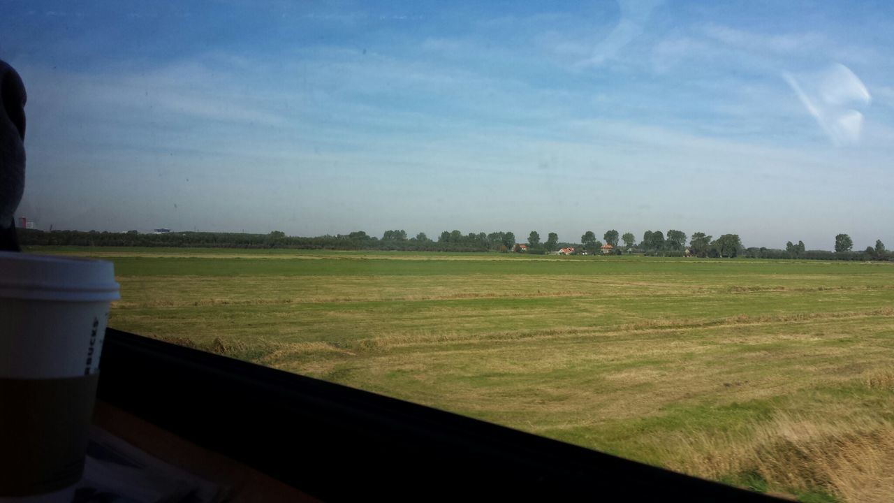 landscape, field, sky, grass, rural scene, tranquil scene, tranquility, cloud - sky, tree, nature, scenics, green color, grassy, cloud, beauty in nature, agriculture, window, farm, growth, no people