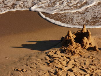 Scenic view of beach