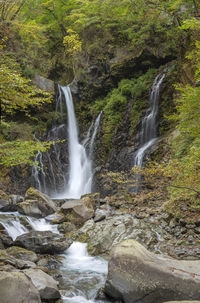 Scenic view of waterfall in forest