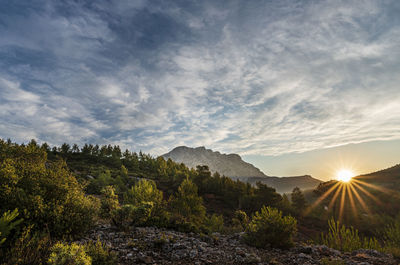 Scenic view of landscape against sky during sunset