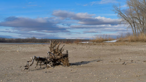 People walking on field against sky