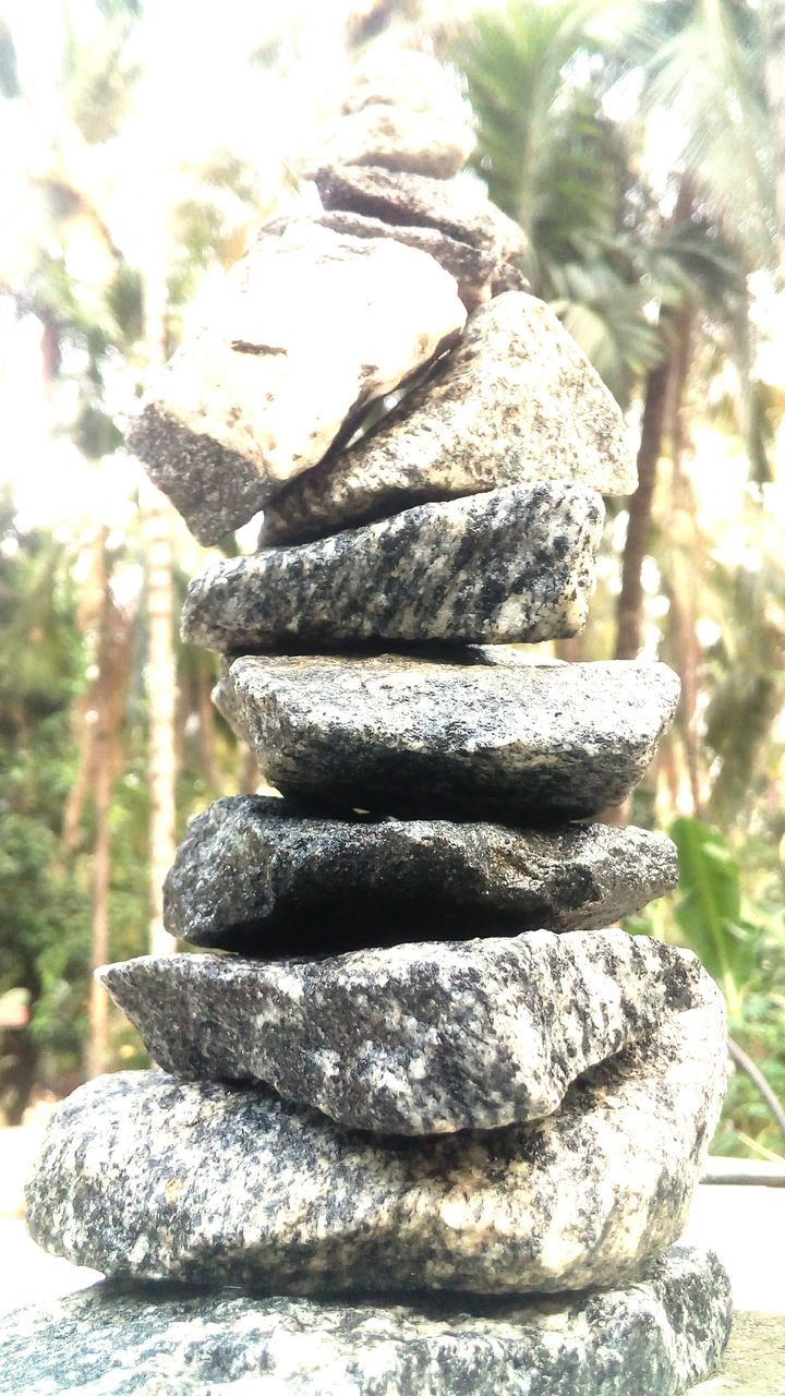 focus on foreground, close-up, stack, tree, textured, food and drink, still life, food, day, selective focus, no people, in a row, pattern, freshness, sunlight, outdoors, growth, nature, abundance, tree trunk