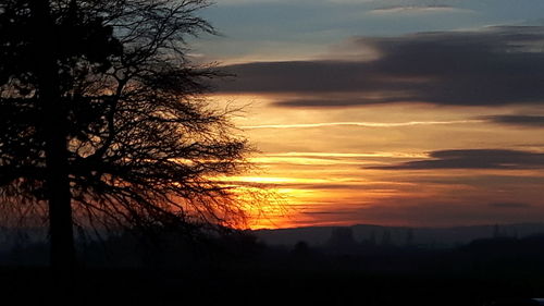 Silhouette tree against sky during sunset