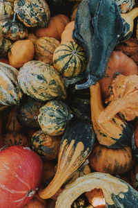 Full frame shot of pumpkins at market stall