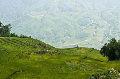 Scenic view of landscape